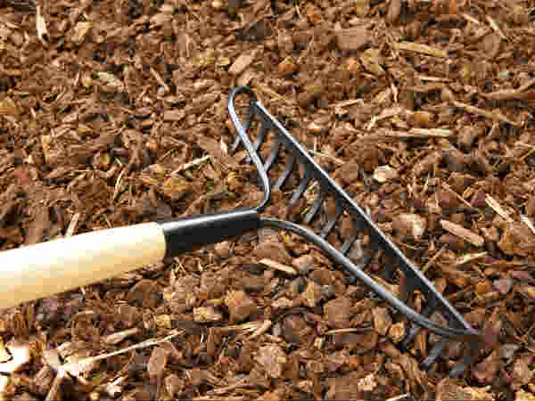 Uses Of Vinegar In The Garden Uses Of Vinegar In The Garden