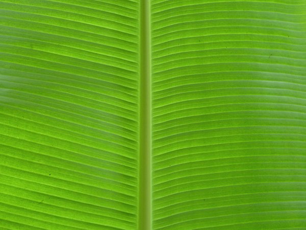 ಸವಿಯನ್ನು ಹೆಚ್ಚಿಸುತ್ತದೆ