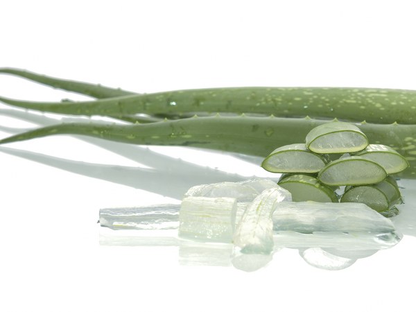 ಲೋಳೆಸರ ಮತ್ತು ಲಿಂಬೆಯರಸ