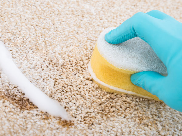 ರತ್ನಗಂಬಳಿಯಲ್ಲಿ ಅಂಟಿಕೊಂಡಿದ್ದ ಬಬ್ಬಲ್ ಗಂ ತೆಗೆಯುತ್ತದೆ