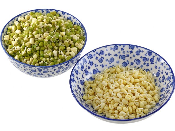 ಧಾನ್ಯ ಮತ್ತು ಬೀಜಗಳನ್ನು ನೆನೆಸಿಡುವ ವಿಧಾನ