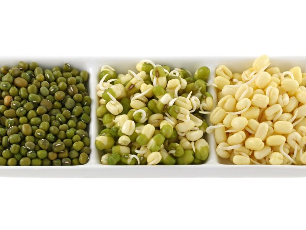 ಧಾನ್ಯ ಮತ್ತು ಬೀಜಗಳನ್ನು ನೆನೆಸಿಡುವ ವಿಧಾನ