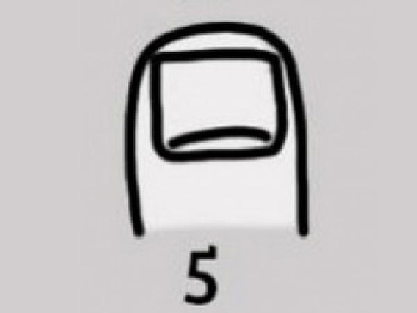 ದೊಡ್ಡದಾದ, ಆಯತಾಕಾರದ ಉಗುರುಗಳು