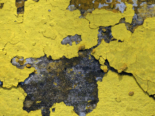 ಗೋಡೆಯ ಬಣ್ಣಗಳು 