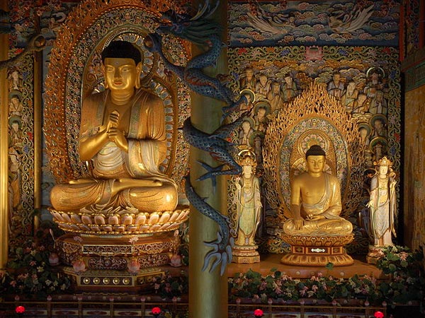 ಬಯಕೆಗಳು ತೊರೆಯಲಿ