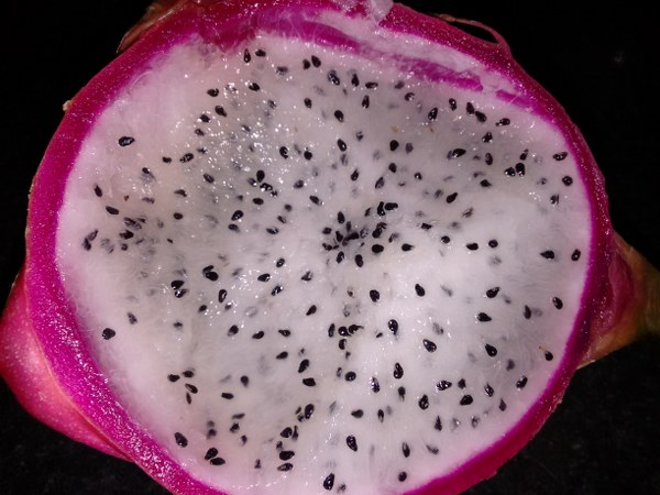 ಡ್ರ್ಯಾಗನ್ ಫ್ರೂಟ್ 