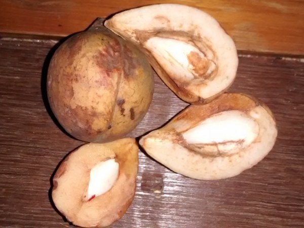 ಆಂಟಿ ಆಕ್ಸಿಡೆಂಟ್‌ (Oxidant) ಗುಣಗಳು