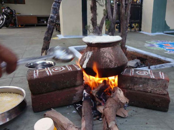 Traditions & Customs Of Pongal 2016