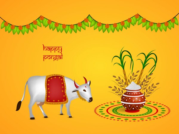 Traditions & Customs Of Pongal 2016