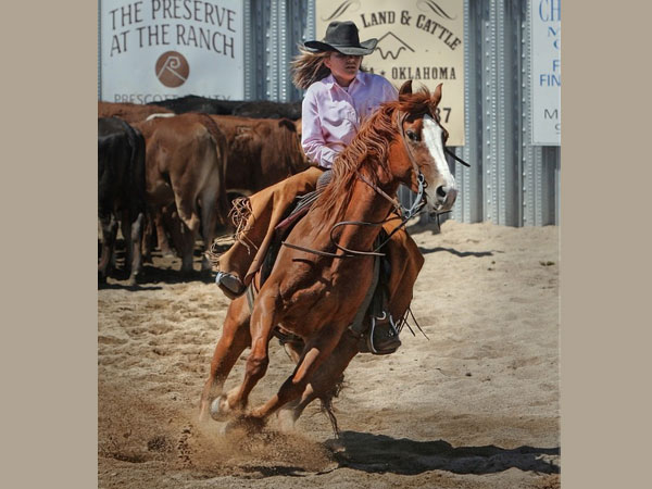 ಕುದುರೆ ಸವಾರಿ