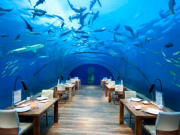 ಜಾಂಜಿಬಾರ್ ನ ಪೆಂಬಾ ದ್ವೀಪದಲ್ಲಿರುವ ಮಾಂತಾ ರೆಸಾರ್ಟ್ ಜಾಂಜಿಬಾರ್ ನ ಪೆಂಬಾ ದ್ವೀಪದಲ್ಲಿರುವ ಮಾಂತಾ ರೆಸಾರ್ಟ್