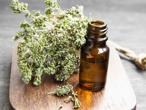Essential oils that are effective pest repellents