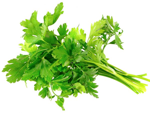 ವಿವಿಧ ರೀತಿಯಲ್ಲಿ ಆರೋಗ್ಯ ವೃದ್ಧಿಸುತ್ತದೆ