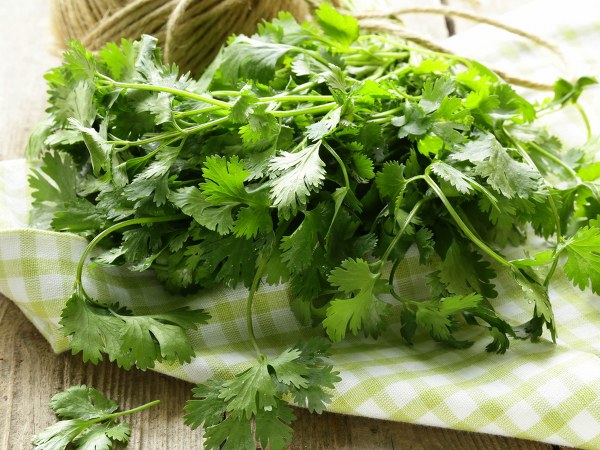 ಮೊಡವೆಗಳನ್ನು ಇಲ್ಲವಾಗಿಸುತ್ತದೆ