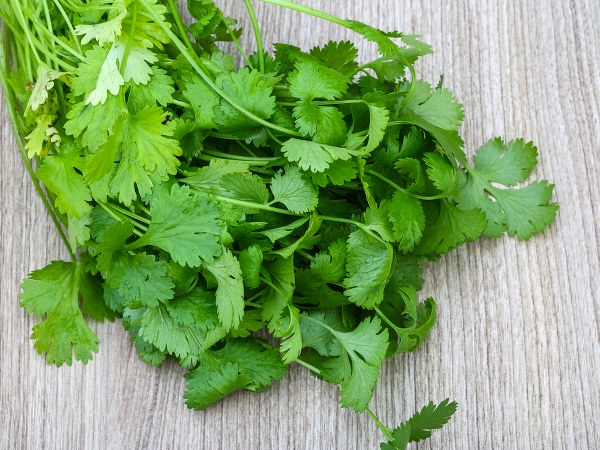 ಕೂದಲು ಉದುರುವುದನ್ನು ತಪ್ಪಿಸುತ್ತದೆ