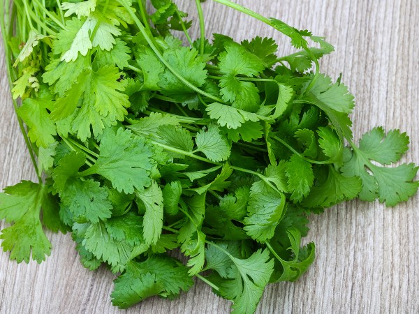 ಮೊಡವೆಗಳನ್ನು ಇಲ್ಲವಾಗಿಸುತ್ತದೆ