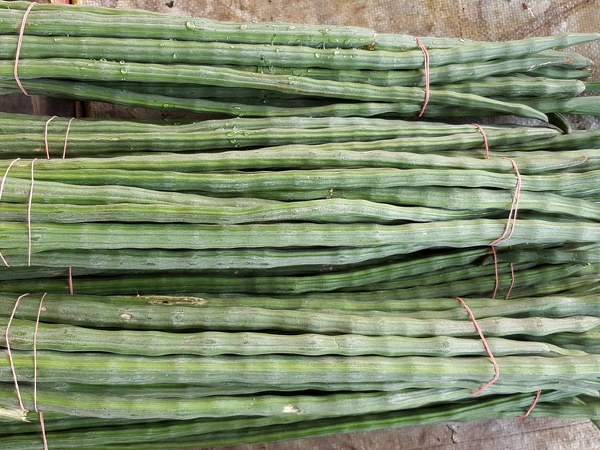 ಮಧುಮೇಹ ನಿಯಂತ್ರಣ