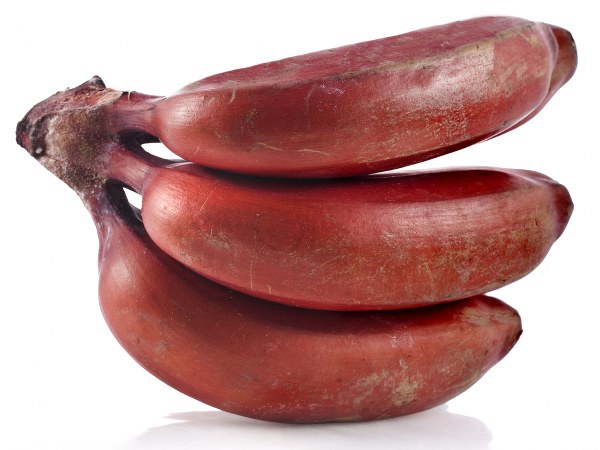 ಮೂತ್ರಪಿಂಡದಲ್ಲಿ ಕಲ್ಲುಗಳಾಗದಂತೆ ತಡೆಯುತ್ತದೆ