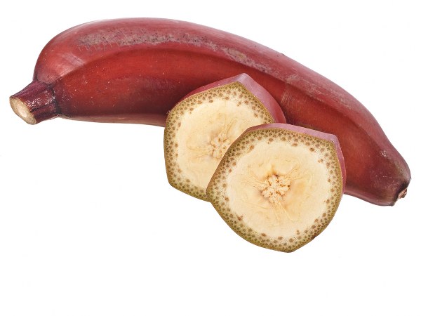 ರಕ್ತವನ್ನು ಶುದ್ಧೀಕರಿಸುತ್ತದೆ