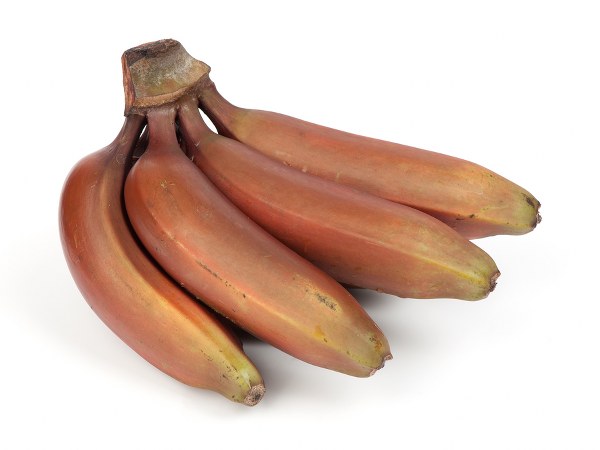 ಎದೆಯುರಿಯನ್ನು ಕಡಿಮೆಮಾಡುತ್ತದೆ