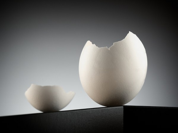 ಮೊಟ್ಟೆಕವಚದ ಮುಖಲೇಪ