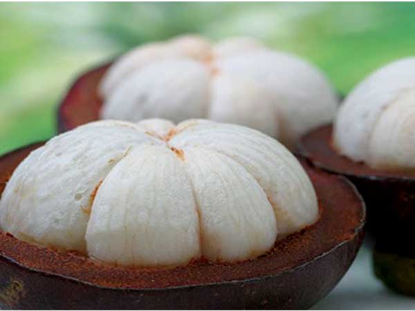 ಮ್ಯಾಂಗೋಸ್ಟೀನ್