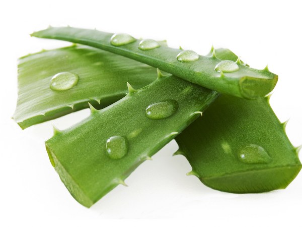 ಎಣ್ಣೆಚರ್ಮಕ್ಕೆ