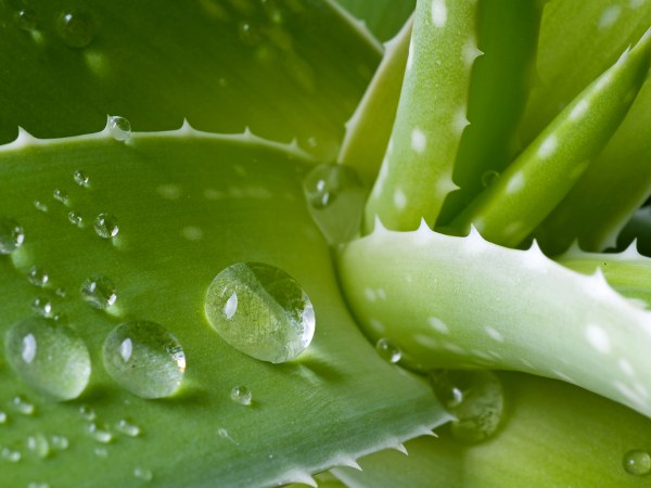 ಕಲೆಗಳಿರುವ ಚರ್ಮಕ್ಕೆ