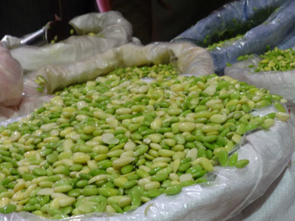 ಜೀರ್ಣಾಂಗಗಳ ಕ್ಷಮತೆ ಹೆಚ್ಚಿಸುತ್ತದೆ