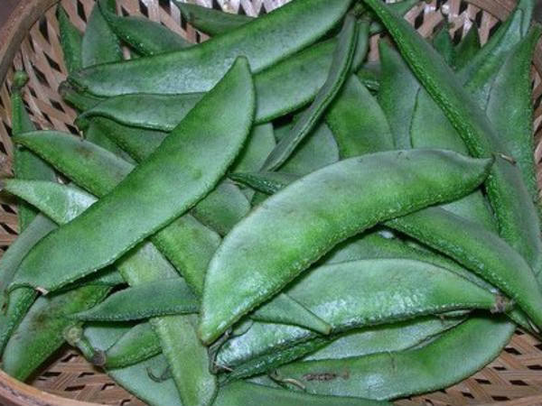 ವಿವಿಧ ಸೋಂಕುಗಳಿಂದ ರಕ್ಷಿಸುತ್ತದೆ