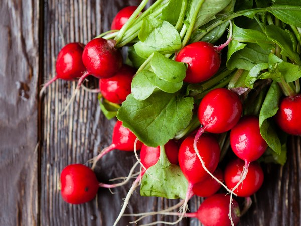 ಹೃದಯ ಸಂಬಂಧಿ ತೊಂದರೆಗಳ ಚಿಕಿತ್ಸೆಗೆ ನೆರವಾಗುತ್ತದೆ