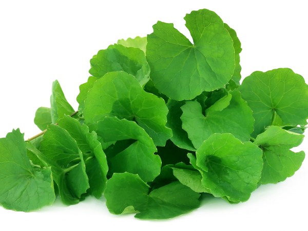 ಅಪಸ್ಮಾರವನ್ನು (epilepsy) ಕಡಿಮೆಗೊಳಿಸುತ್ತದೆ ಅಪಸ್ಮಾರವನ್ನು (epilepsy) ಕಡಿಮೆಗೊಳಿಸುತ್ತದೆ