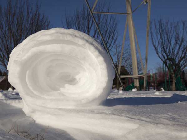 ಹಿಮದ ದಿಮ್ಮಿಗಳು