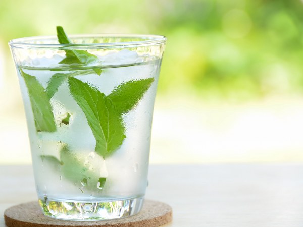 ರೋಗನಿರೋಧಕ ಶಕ್ತಿ ವರ್ಧನೆ ರೋಗನಿರೋಧಕ ಶಕ್ತಿ ವರ್ಧನೆ