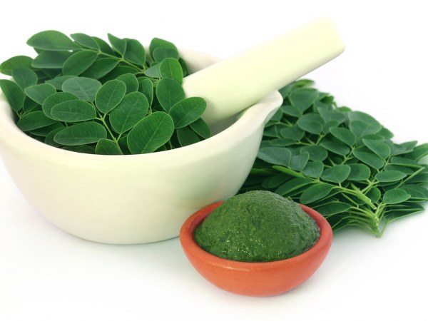 Fight diabetes and high cholesterol with drumstick leaves