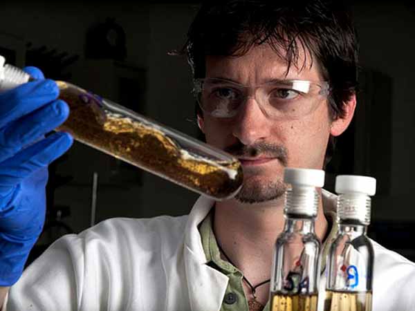 ಮಲ ಪರೀಕ್ಷೆ ಮಾಡುವವರು ಮಲ ಪರೀಕ್ಷೆ ಮಾಡುವವರು