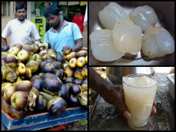 ನಿರ್ಜಲೀಕರಣದಿಂದ ರಕ್ಷಿಸುತ್ತದೆ