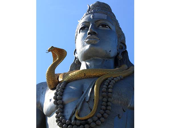 ಕೊರಳಲ್ಲಿರುವ ಸರ್ಪ