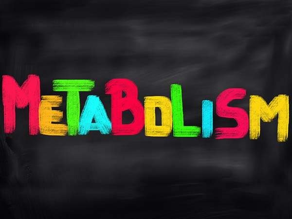 ಜೀವರಾಸಾಯನಿಕ ಕ್ರಿಯೆಯನ್ನು ಉತ್ತಮಗೊಳಿಸುತ್ತದೆ