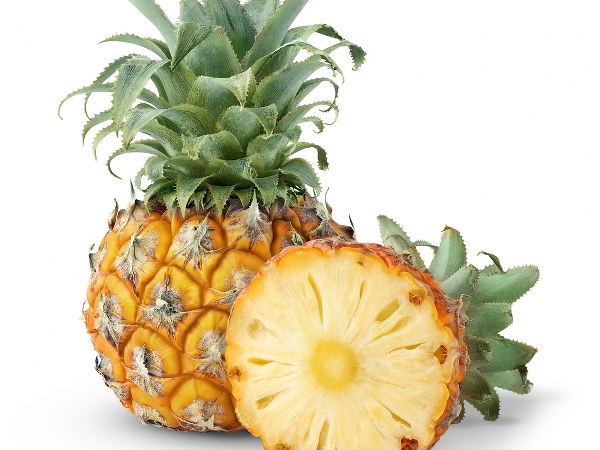 ನೈಸರ್ಗಿಕ ವಿಧಾನದಲ್ಲಿ ವಿಷಕಾರಿ ವಸ್ತುಗಳು ನಿವಾರಣೆಯಾಗುತ್ತವೆ