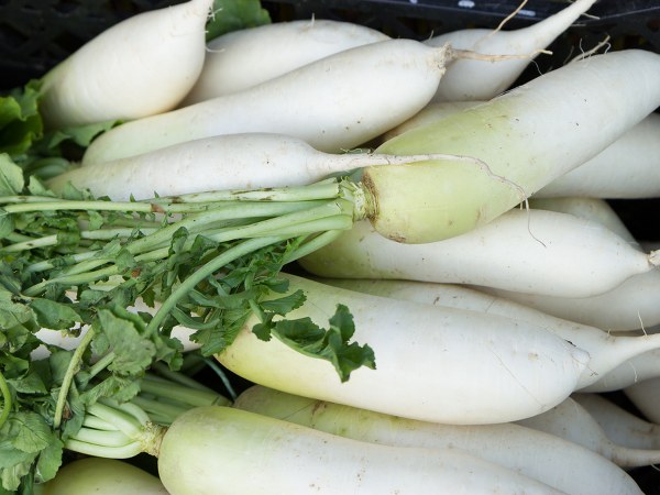 ಮೂಲವ್ಯಾಧಿ ಈಗಾಲೇ ವ್ಯಾಪಿಸಿದ್ದರೆ...