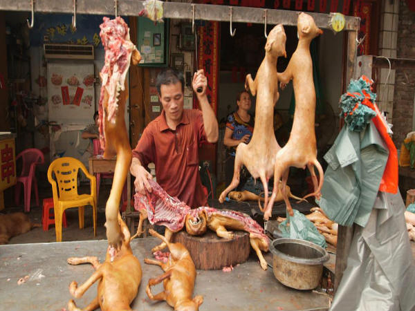 ಈ ಮೇಳ ಕಾನೂನುಬದ್ಧವೇ? ಈ ಮೇಳ ಕಾನೂನುಬದ್ಧವೇ?