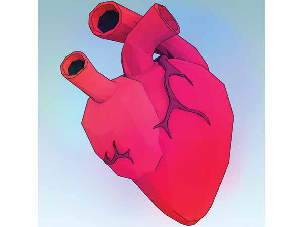 ವಿಟಮಿನ್ ಹೇರಳವಾಗಿದೆ