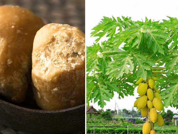 This One Natural Leaf Helps Cure Dengue