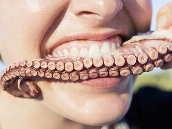 ಹಾವುಗಳು ಹಾವುಗಳು