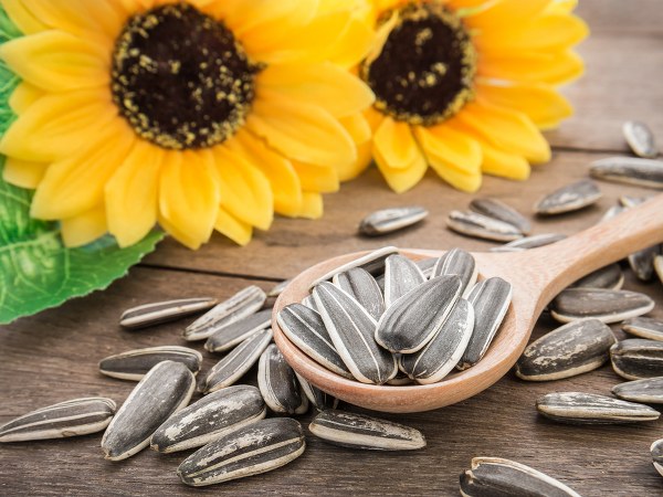 ಮಹಿಳೆಯರ ಮಾಸಿಕ ದಿನಗಳನ್ನು ಸುಲಭವಾಗಿಸುತ್ತದೆ ಮಹಿಳೆಯರ ಮಾಸಿಕ ದಿನಗಳನ್ನು ಸುಲಭವಾಗಿಸುತ್ತದೆ