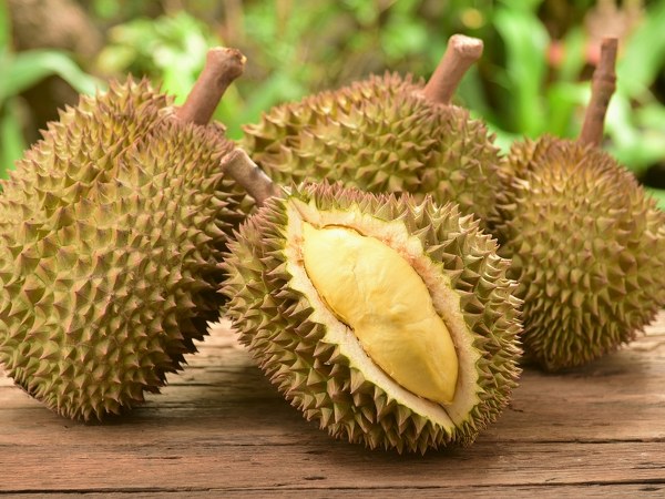 ಡ್ಯೂರಿಯಾನ್