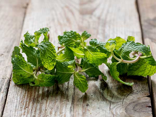 ಪುದೀನಾ ಜ್ಯೂಸ್ ಮಾಡುವ ವಿಧಾನ 