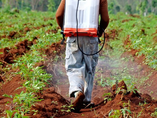 ಕೀಟಾನಾಶಕಗಳು ಕೀಟಾನಾಶಕಗಳು