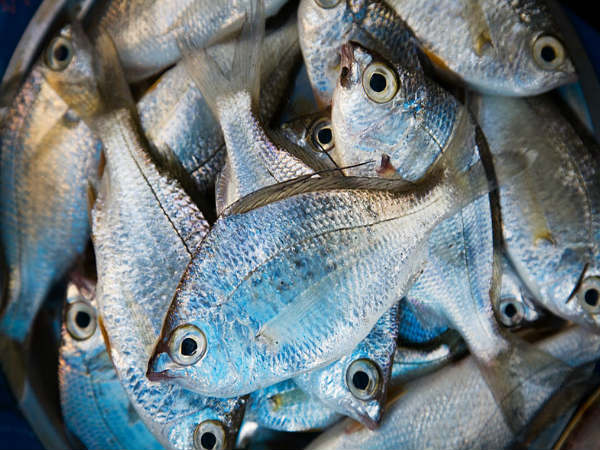 Eat These Foods If You Want To Avoid Getting Wrinkles, After 30!